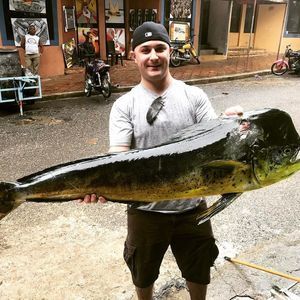 Meet your Posher, Frank